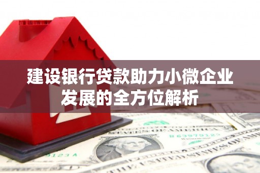 荥阳建设银行贷款助力小微企业发展的全方位解析