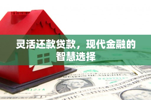 荥阳灵活还款贷款，现代金融的智慧选择