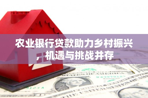 荥阳农业银行贷款助力乡村振兴，机遇与挑战并存