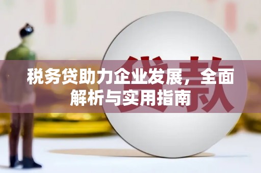 荥阳税务贷助力企业发展，全面解析与实用指南