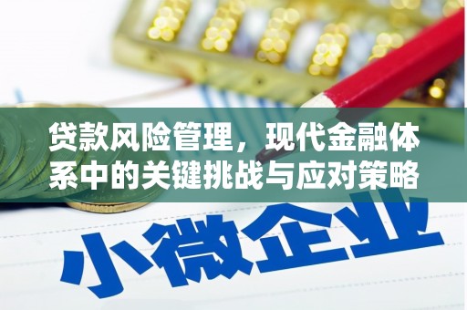 荥阳贷款风险管理，现代金融体系中的关键挑战与应对策略