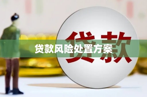 荥阳贷款风险处置方案