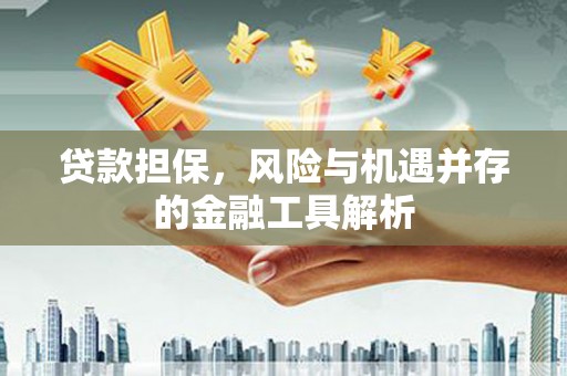 荥阳贷款担保，风险与机遇并存的金融工具解析