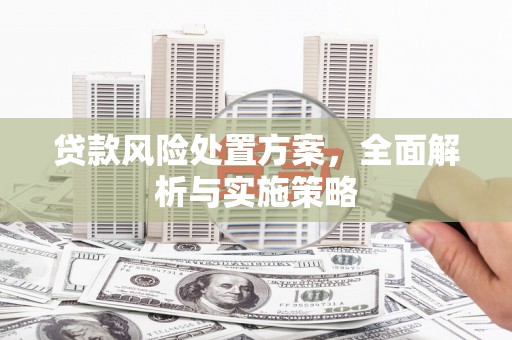 荥阳贷款风险处置方案，全面解析与实施策略